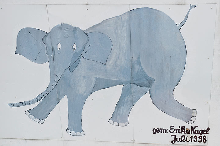 Den Fall des Elefanten Tuffi haben die Schads damals selbst miterlebt 